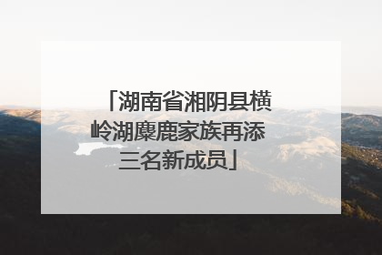 湖南省湘阴县横岭湖麋鹿家族再添三名新成员