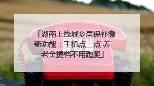 湖南上线城乡居保补缴新功能：手机点一点 养老金提档不用跑腿