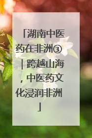 湖南中医药在非洲③｜跨越山海，中医药文化浸润非洲