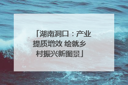 湖南洞口：产业提质增效 绘就乡村振兴新图景