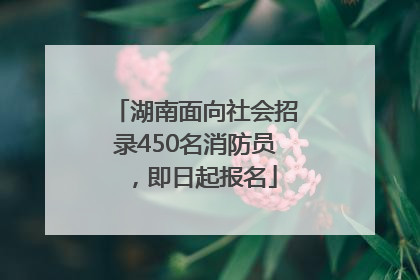 湖南面向社会招录450名消防员，即日起报名