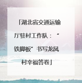 湖北省交通运输厅驻村工作队：“铁脚板”书写龙凤村幸福答卷