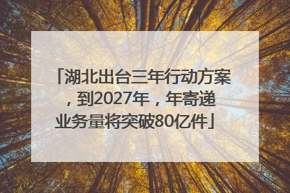湖北出台三年行动方案，到2027年，年寄递业务量将突破80亿件