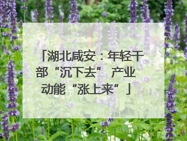 湖北咸安：年轻干部“沉下去” 产业动能“涨上来”