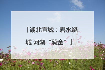 湖北宜城：碧水绕城 河湖“淌金”