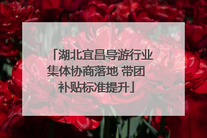 湖北宜昌导游行业集体协商落地 带团补贴标准提升