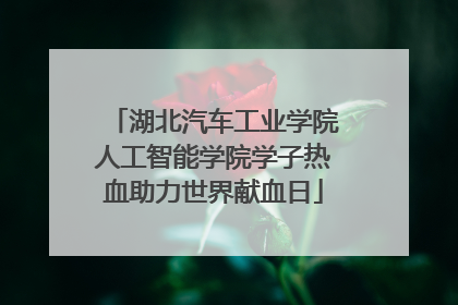 湖北汽车工业学院人工智能学院学子热血助力世界献血日