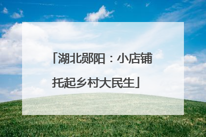 湖北郧阳：小店铺托起乡村大民生