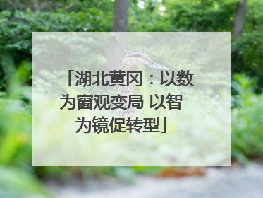 湖北黄冈：以数为窗观变局 以智为镜促转型