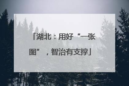 湖北：用好“一张图”，智治有支撑