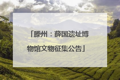 滕州：薛国遗址博物馆文物征集公告