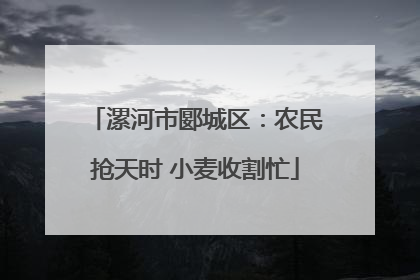 漯河市郾城区：农民抢天时 小麦收割忙