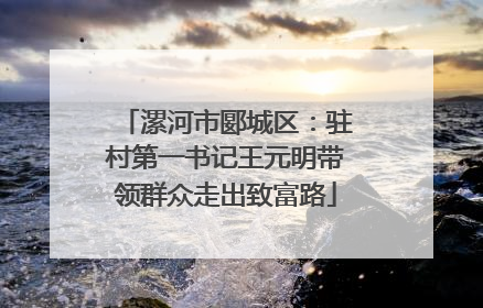 漯河市郾城区：驻村第一书记王元明带领群众走出致富路