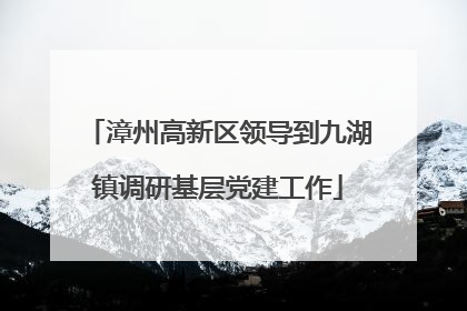 漳州高新区领导到九湖镇调研基层党建工作