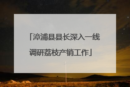 漳浦县县长深入一线调研荔枝产销工作
