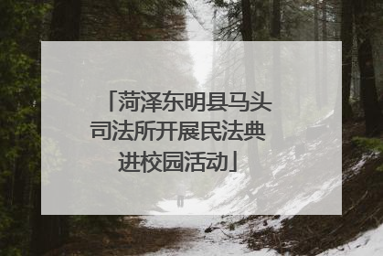 菏泽东明县马头司法所开展民法典进校园活动
