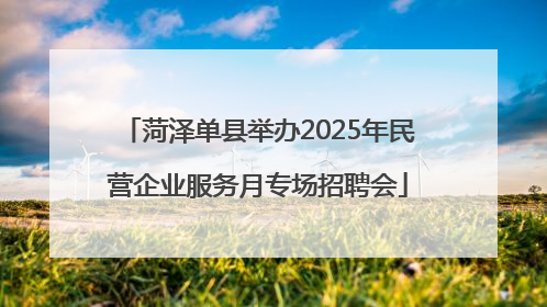 菏泽单县举办2025年民营企业服务月专场招聘会