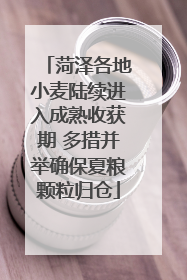 菏泽各地小麦陆续进入成熟收获期 多措并举确保夏粮颗粒归仓