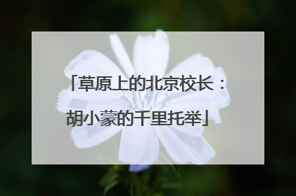 草原上的北京校长：胡小蒙的千里托举