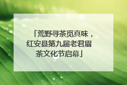 荒野寻茶觅真味，红安县第九届老君眉茶文化节启幕