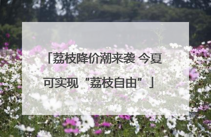 荔枝降价潮来袭 今夏可实现“荔枝自由”