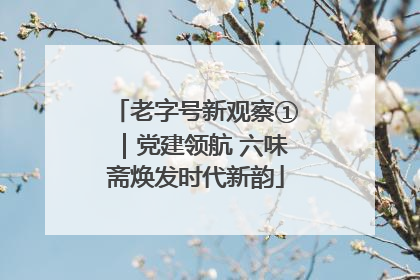 老字号新观察①｜党建领航 六味斋焕发时代新韵