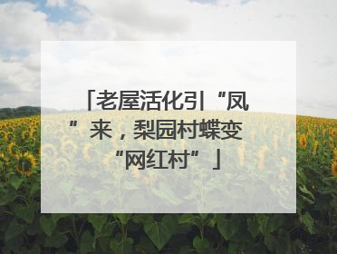 老屋活化引“凤”来，梨园村蝶变“网红村”