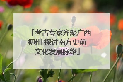 考古专家齐聚广西柳州 探讨南方史前文化发展脉络