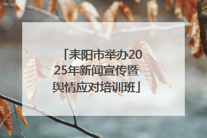 耒阳市举办2025年新闻宣传暨舆情应对培训班