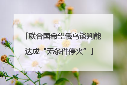 联合国希望俄乌谈判能达成“无条件停火”