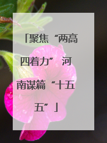 聚焦“两高四着力” 河南谋篇“十五五”