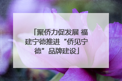 聚侨力促发展 福建宁德推进“侨见宁德”品牌建设