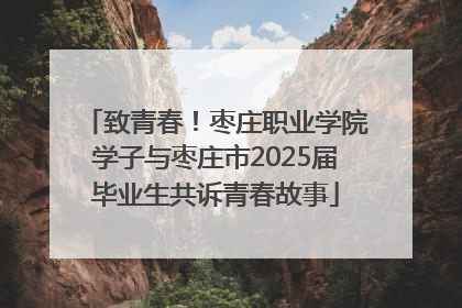 致青春！枣庄职业学院学子与枣庄市2025届毕业生共诉青春故事