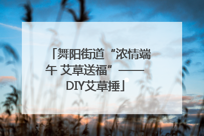 舞阳街道“浓情端午 艾草送福”——DIY艾草捶