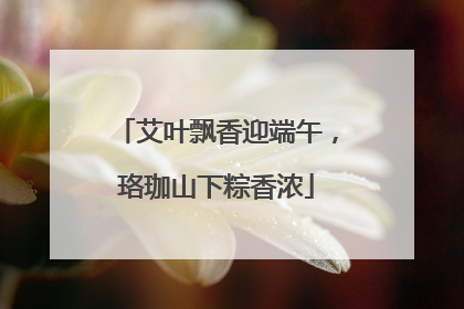 艾叶飘香迎端午，珞珈山下粽香浓