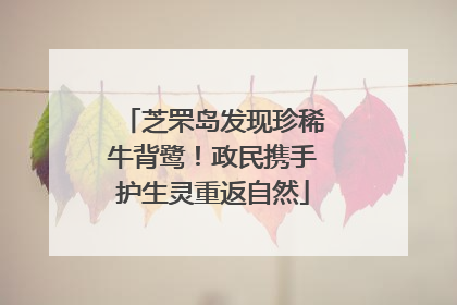 芝罘岛发现珍稀牛背鹭！政民携手护生灵重返自然