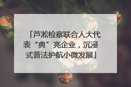 芦淞检察联合人大代表“典”亮企业，沉浸式普法护航小微发展