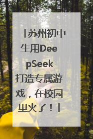 苏州初中生用DeepSeek打造专属游戏，在校园里火了！