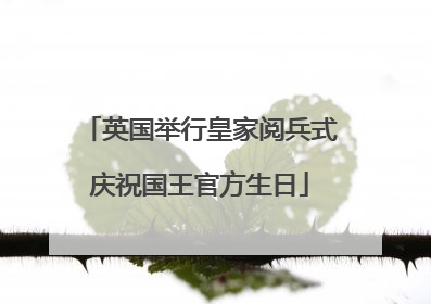 英国举行皇家阅兵式庆祝国王官方生日