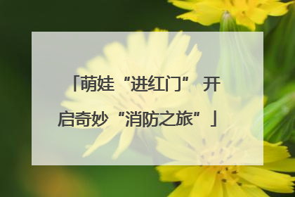 萌娃“进红门” 开启奇妙“消防之旅”