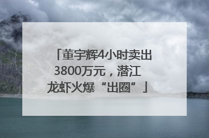 董宇辉4小时卖出3800万元，潜江龙虾火爆“出圈”
