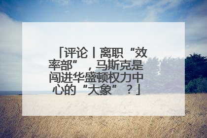评论丨离职“效率部”，马斯克是闯进华盛顿权力中心的“大象”？