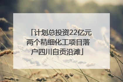 计划总投资22亿元 两个精细化工项目落户四川自贡沿滩