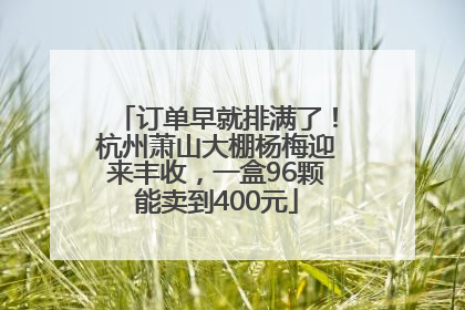 订单早就排满了！杭州萧山大棚杨梅迎来丰收，一盒96颗能卖到400元