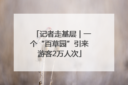 记者走基层｜一个“百草园”引来游客2万人次