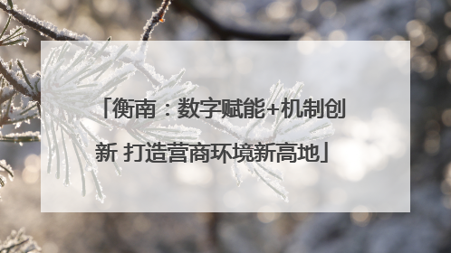 衡南：数字赋能+机制创新 打造营商环境新高地