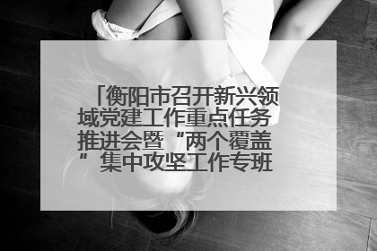 衡阳市召开新兴领域党建工作重点任务推进会暨“两个覆盖”集中攻坚工作专班 第一次会议