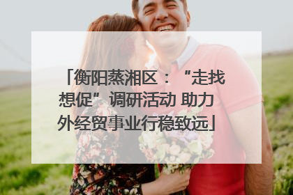 衡阳蒸湘区：“走找想促”调研活动 助力外经贸事业行稳致远