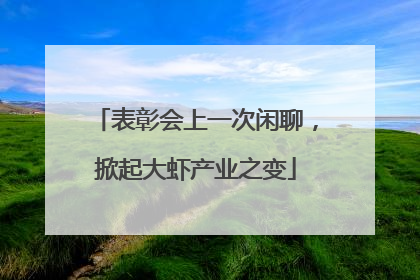 表彰会上一次闲聊，掀起大虾产业之变