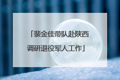 裴金佳带队赴陕西调研退役军人工作